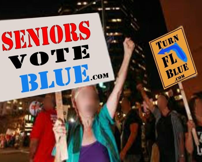 SeniorsVoteBlue.com