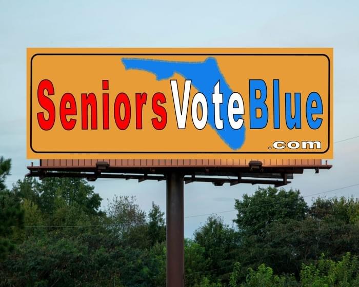 SeniorsVoteBlue.com