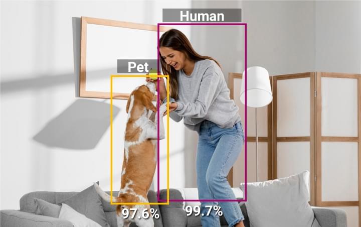 amaryllo human detection dog cat bird pet detection ai recognition