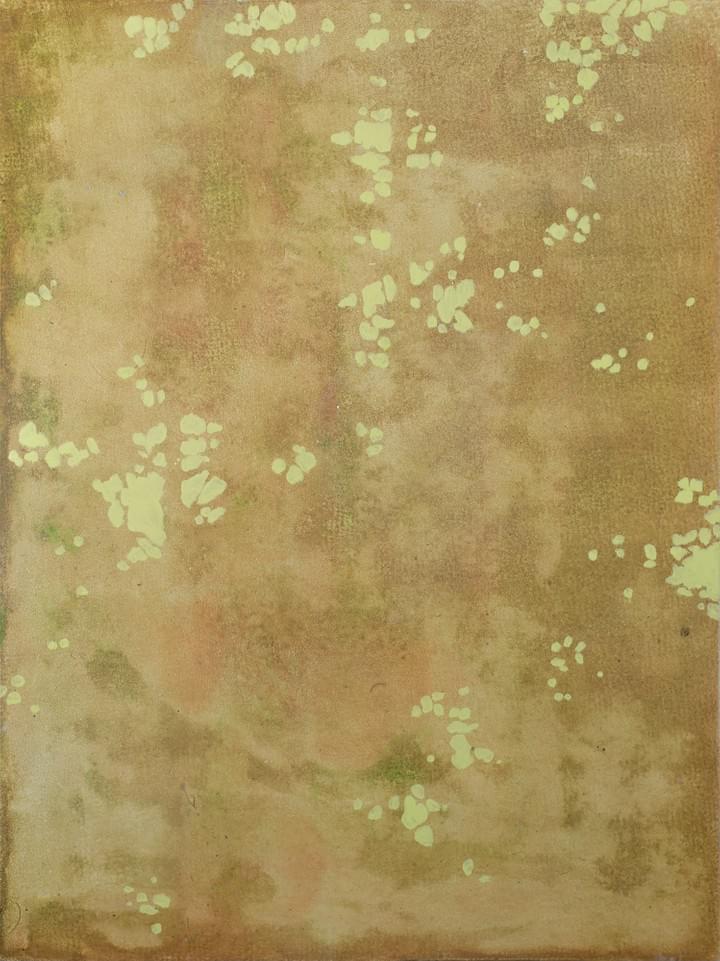 Schilderij- painting - Harm van den Berg - Untitled (spring)