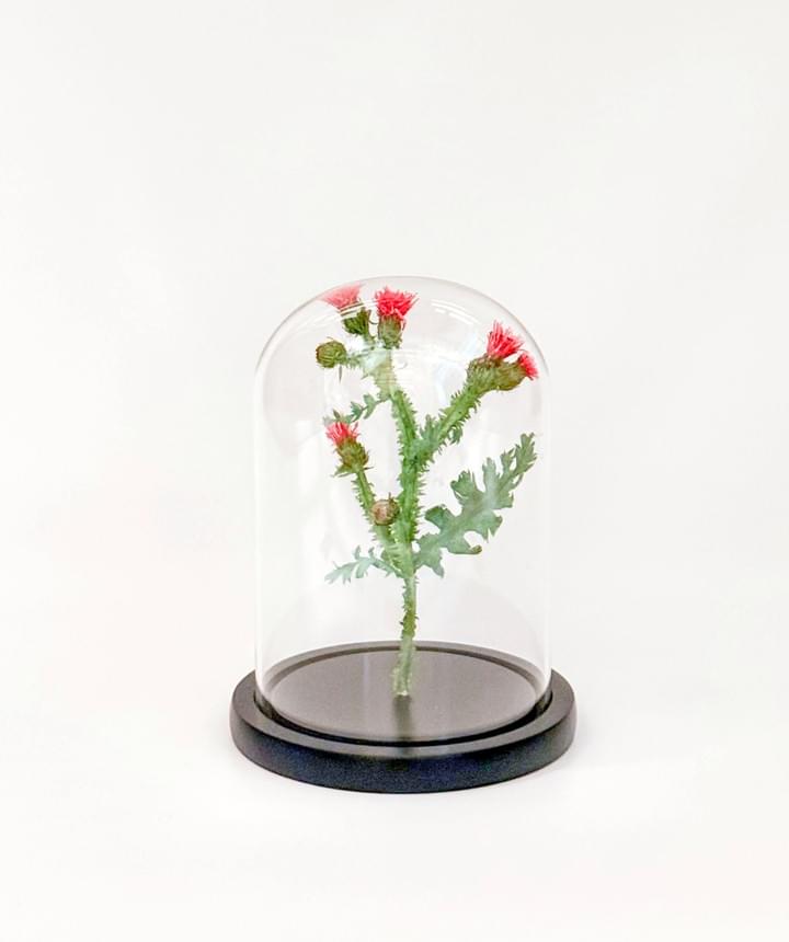 ペーパーボタニカルアート ハンドメイド ペーパーフラワー イベント作品 2020年 ペーパーボタニカルアート ハンドメイド ペーパーフラワー イベント作品 2020年