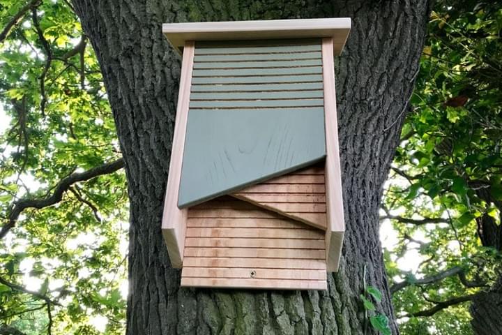 Bat Boxes