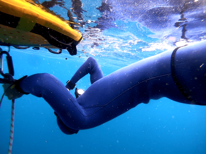 PADI 自由潛水員課程詳情 Soulfree 瑜珈課內容 自潛瑜珈課程 自由潛水課程 台北 台灣 PADI AIDA Taiwan Taipei Freediving Yoga Course Beginner 初階進階 自潛訓練