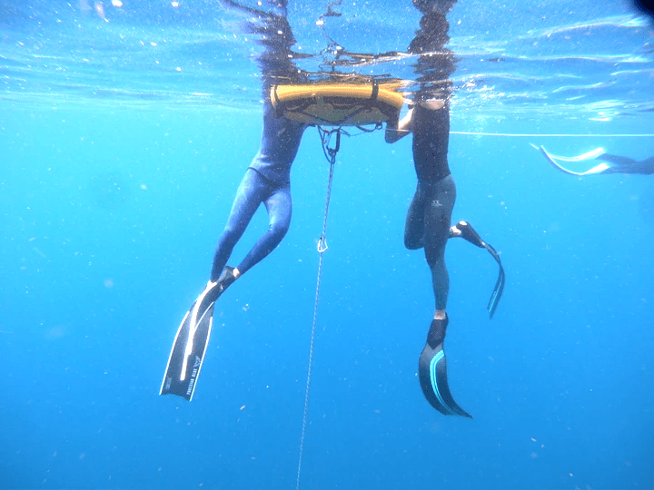 PADI 自由潛水員課程詳情 Soulfree 瑜珈課內容 自潛瑜珈課程 自由潛水課程 台北 台灣 PADI AIDA Taiwan Taipei Freediving Yoga Course Beginner 初階進階 自潛訓練