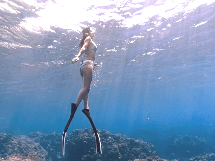 PADI 自由潛水員課程詳情 Soulfree 瑜珈課內容 自潛瑜珈課程 自由潛水課程 台北 台灣 PADI AIDA Taiwan Taipei Freediving Yoga Course Beginner 初階進階 自潛訓練