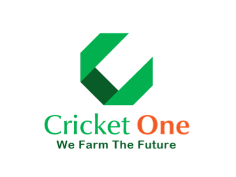 Sustainable Protein Cricket Superfood Vietnam