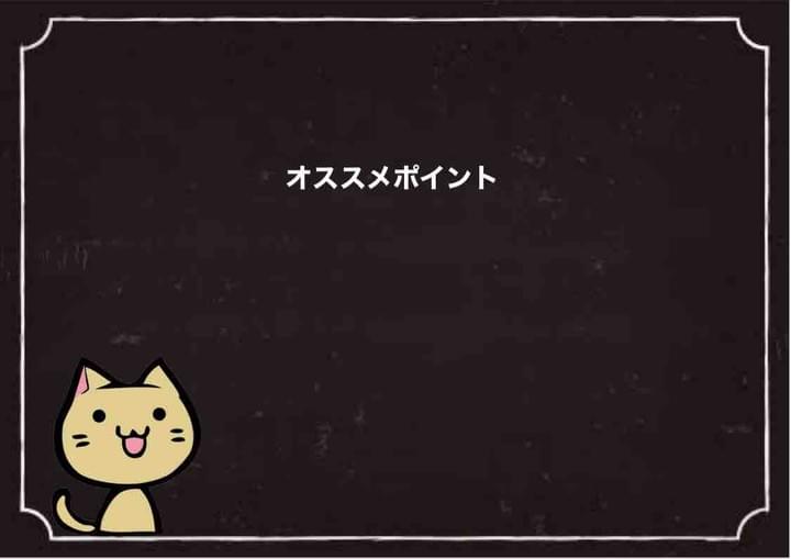 オススメポイント