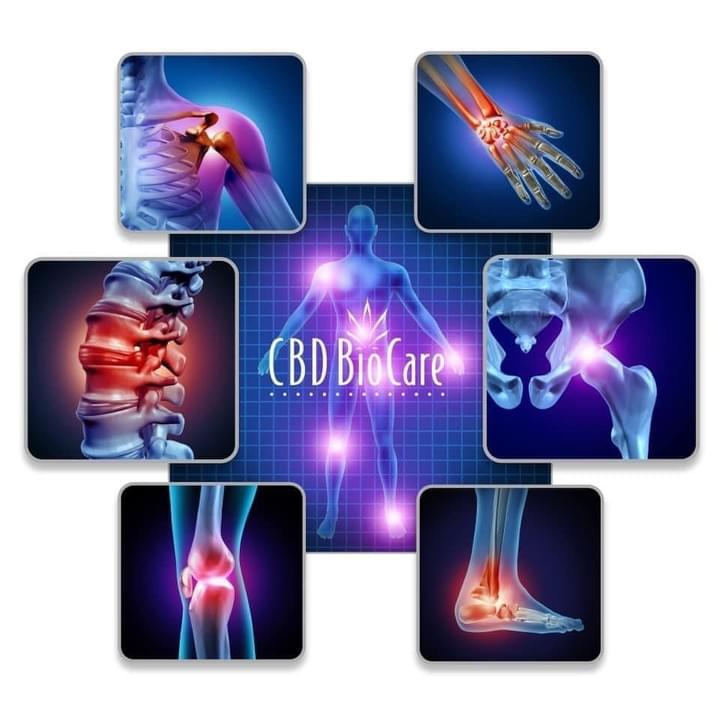 The CBD Forum For Natural Health on Strikingly