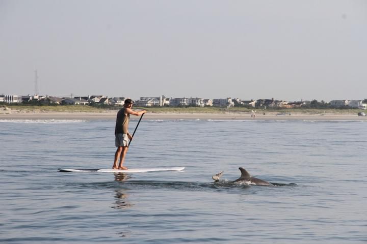 Photo by Yvonne Yuen