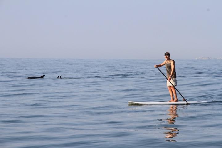 Photo by Yvonne Yuen