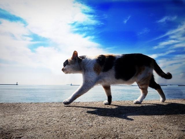 アクセス・バーズ　感想