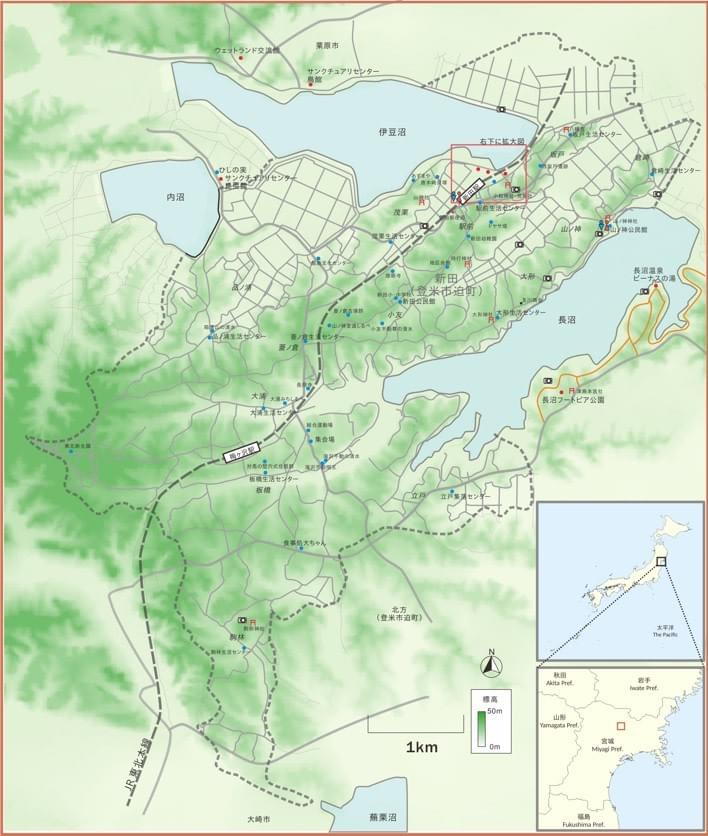 Section image