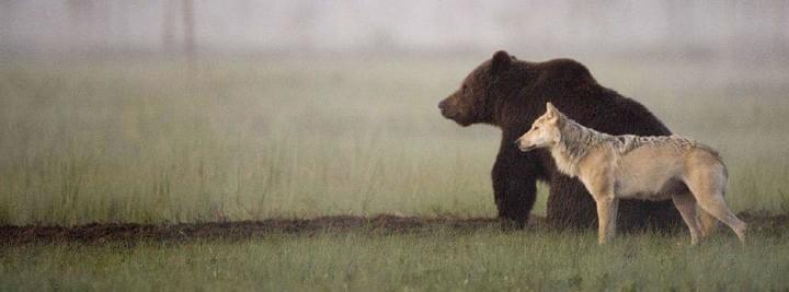 Visiter un parc animalier en Ardennes