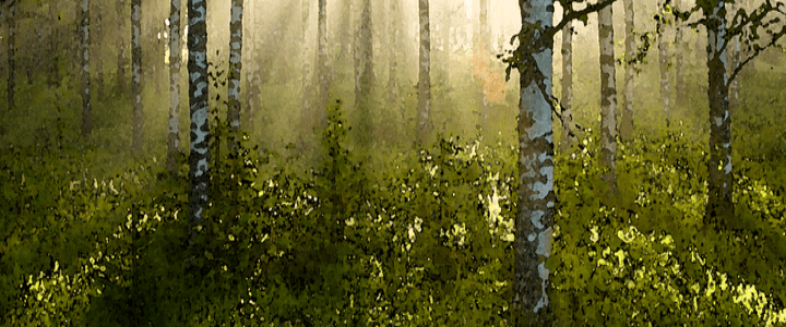 GLEAM high resolution