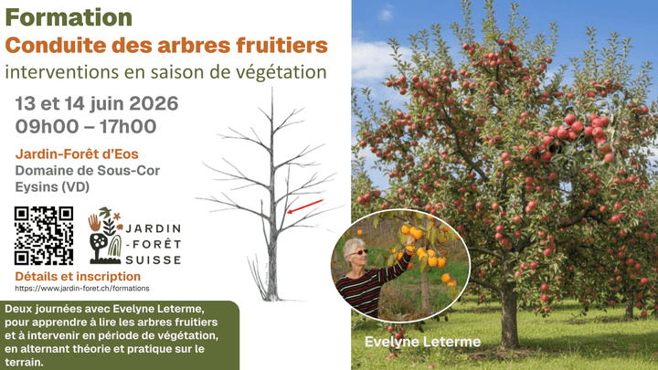 Formation conduite des arbres fruitiers et 