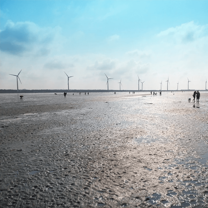 台中高美濕地-台中包車