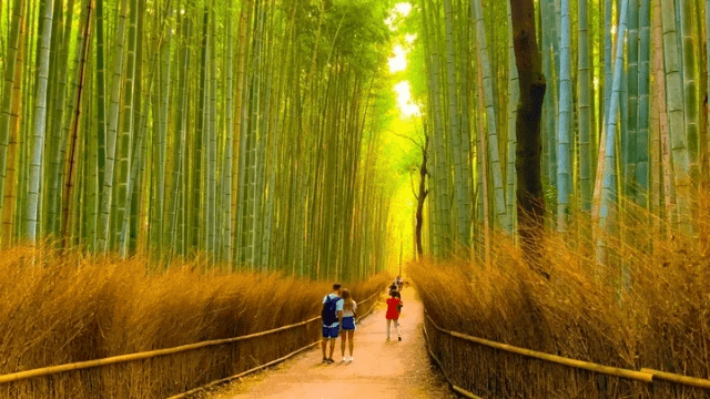 新竹烏嘎彥-新竹包車