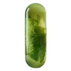 broken image