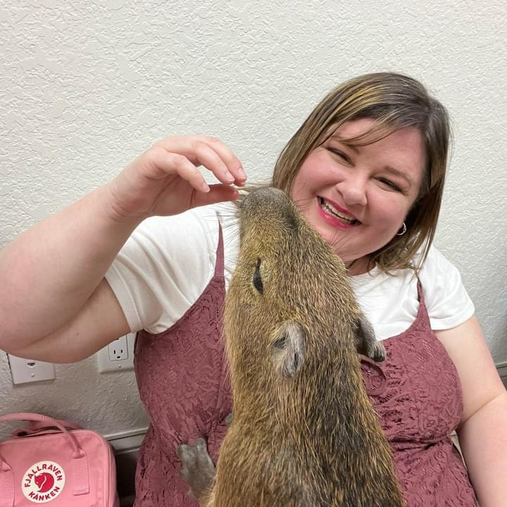 Section image
