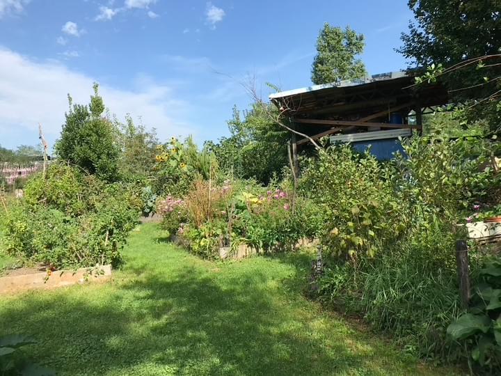 Visite conseil chez vous, pour votre jardin-forêt pour projet agroforester