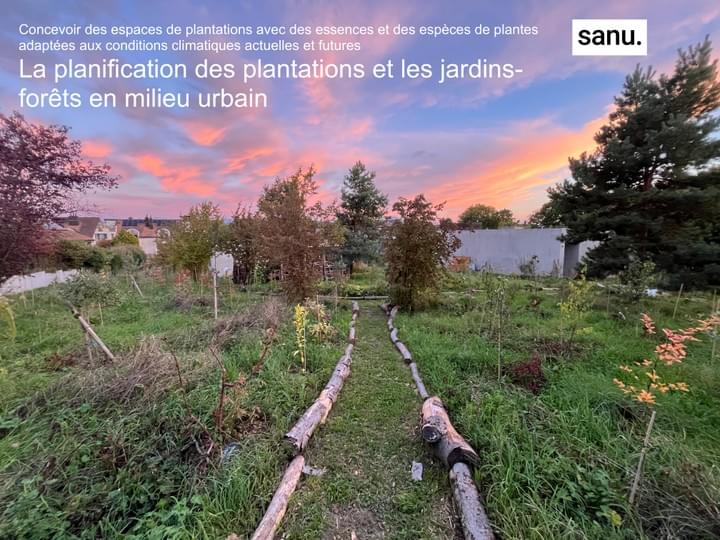 Formation pro, sanu, La planification des plantations et les jardins-forêts en milieu urbain, haies fruitières
