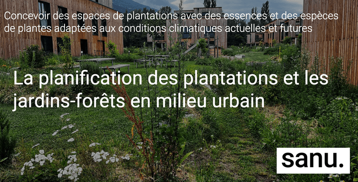 Formation pro, sanu, La planification des plantations et les jardins-forêts en milieu urbain, haies fruitières