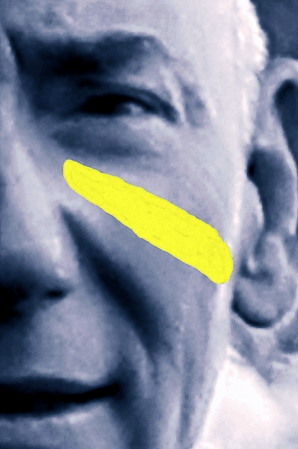 Accès gratuit aux Hastags sociétaux