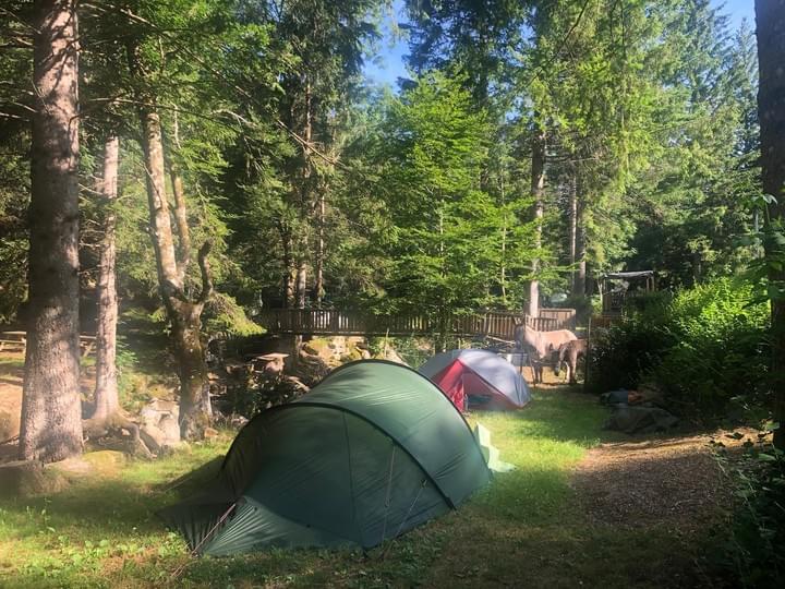 emplacement tente, van et camping car sur le mont aigoual