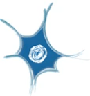 AAM Asociación Argentina de Musicología