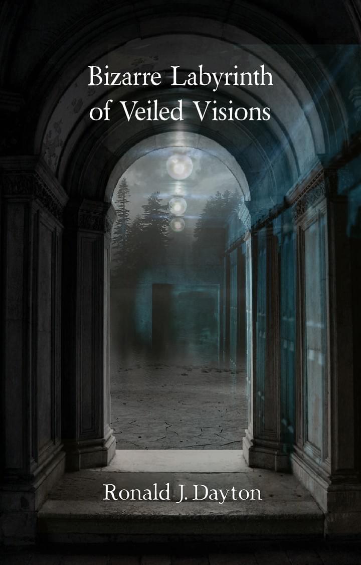 Bizarre Labyrinth of Veiled Visions. Ronald  J. Dayton