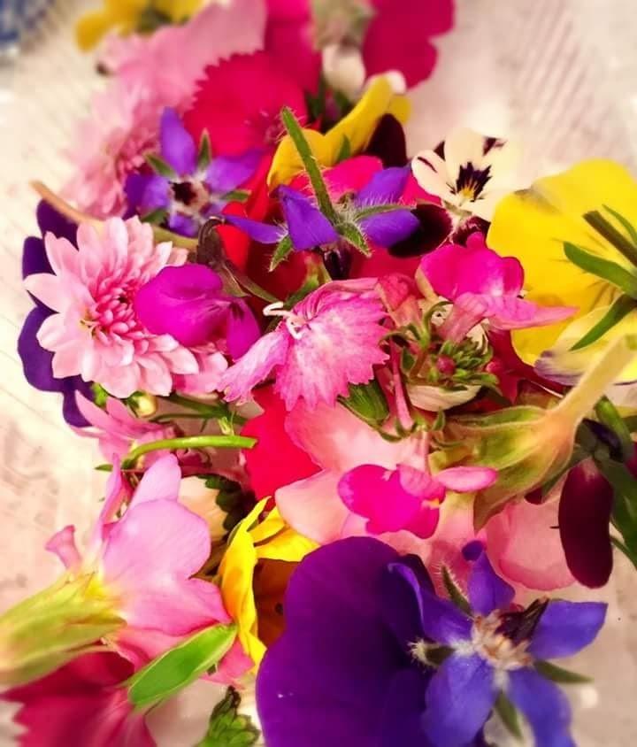 お花を食べる会 On Strikingly お花を食べる会 On Strikingly