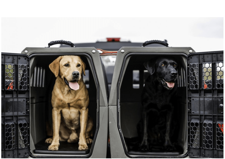 Haustierkühlung, Hundekühlung