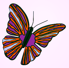 Butterfly -purple & orange