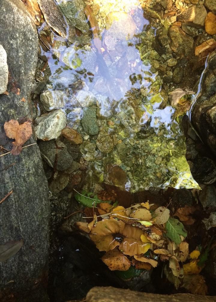 Section image