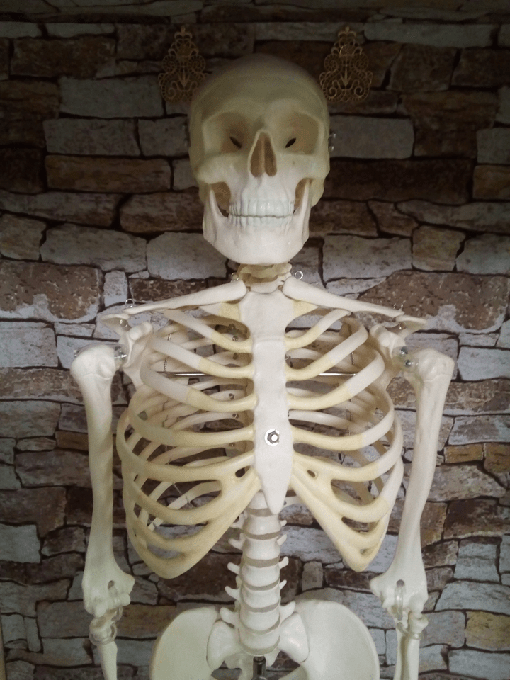 演奏のための体の使い方