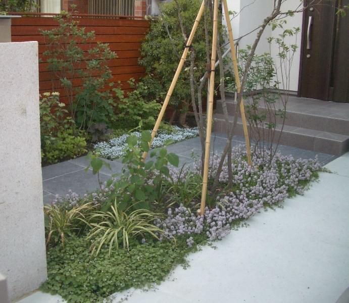 Section image