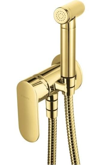 Robinet de toilette Tunisie / Toilette Tunisie / Mitigeur de WC Tunisie / Robinet de WC Tunisie / Mitigeur de toilette encastré Tunisie / Mitigeur de toilette doré poli Tunisie