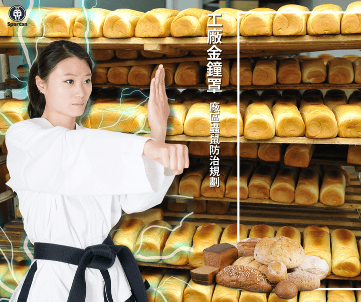 工廠鼠蟲防治服務