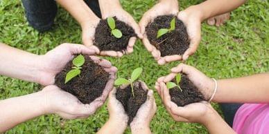 eco friendly packaging