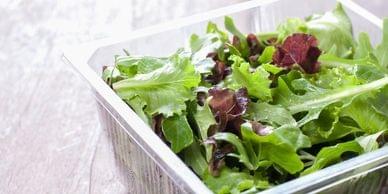 eco friendly packaging