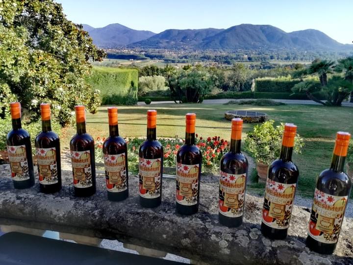 Amaro Toscano vermut vino rosè