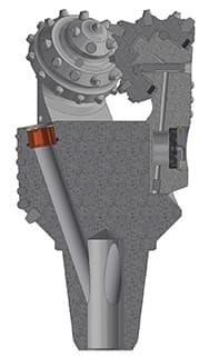 Section image