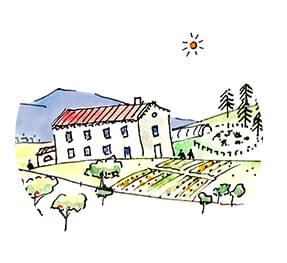 Section image