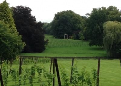 Le vignoble et les vins du Chateau de Bioul sont une étape obligatoire lorsque vous visitez la région.