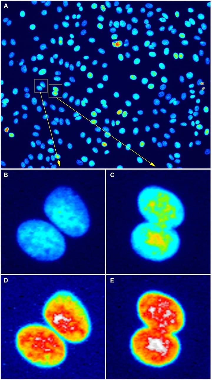 Figure 3. Bit depth conversion and normalization
