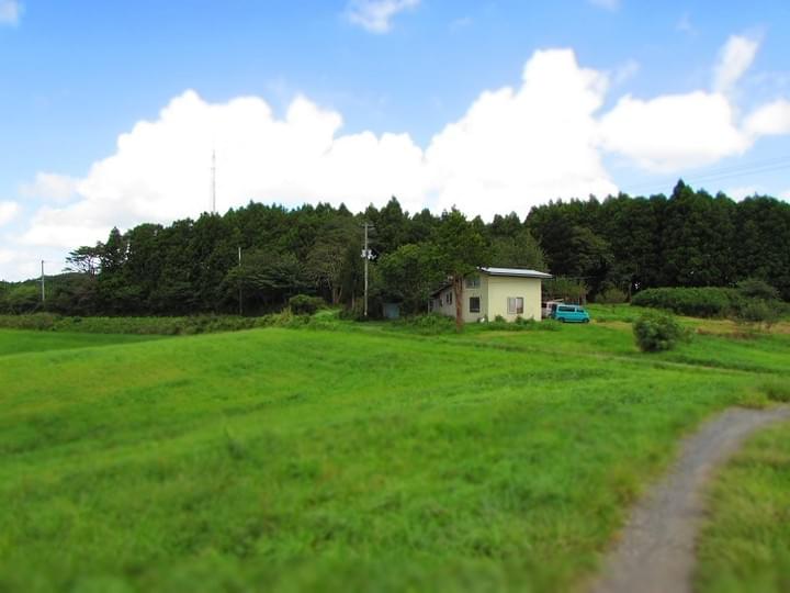 Section image