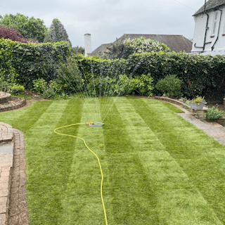 Lawn & Turf