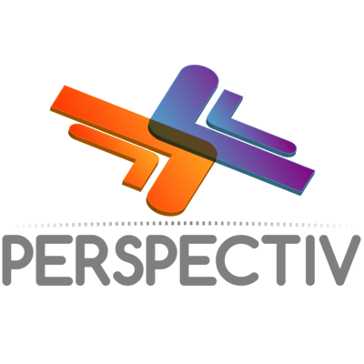 Perspectiv - Partenaires & Experts - L.Chéreau - DSP-consulting