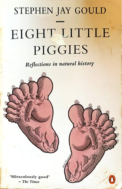 stephen jay gould mismeasure man