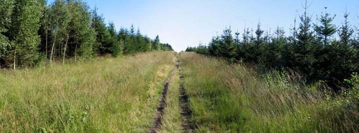 Les plus belles randonnées en Ardennes